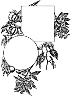 Frame with spice leaves