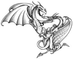 Dragons in a fight