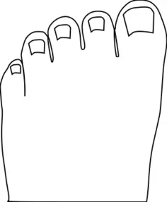 Toes Outline