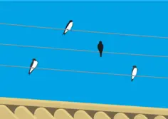 Birds standing on wires vector clip art