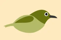 Graphics of white-eyes bird without legs
