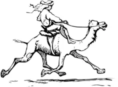 Vector drawing of man riding camel in black and white