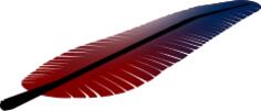 Vector illustration of tilted red and blue feather