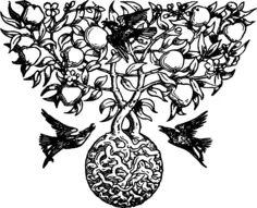 Vector illustration of birds themed decorative divider