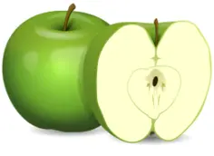 Vector image of apple and apple cut in half