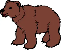 Young brown bear vector clip art