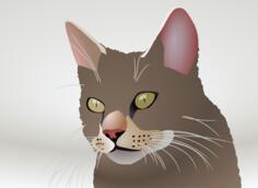 Vector image of a cat