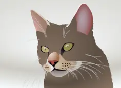 Vector image of a cat