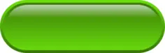 Pill shaped bright green button vector illustration