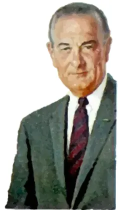Lyndon B Johnson portrait vector image