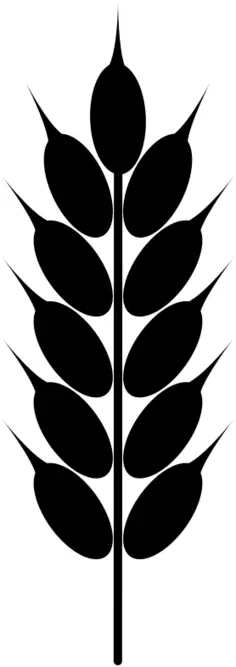 Silhouette vector clip art of wheat