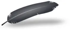 Vector graphics of feather
