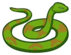 Green and brown color snake line art vector illustration