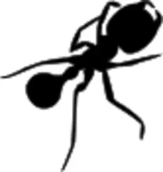 Ant with long legs silhouette vector graphics