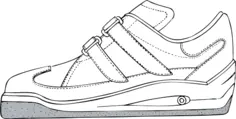 Gym shoe vector drawing