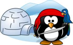 Vector image of pirate penguin in Antartica