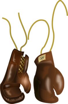 Vector graphics of antique boxing gloves