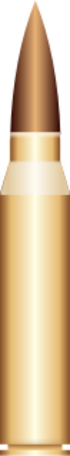 Vector drawing of gold bullet