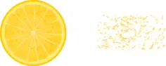 Half orange and orange bits vector clip art