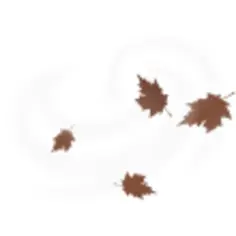 Brown fall leaves vector drawing on white background