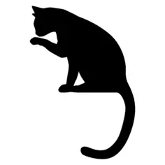 Vector image of cat licking its paw