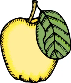 Vector image of quince