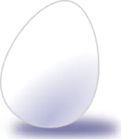 Vector image of white egg with shadow