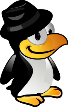 Tux with black hat vector image