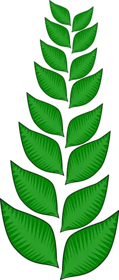 Falling leaves vector image