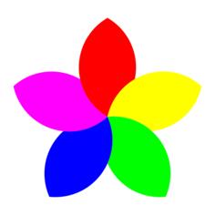 Colorful 5 petal flower vector image