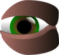 Vector clip art of green eye