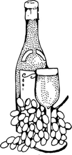 Vector illustration of wine bottle and glass