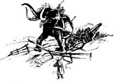 Elephant in battle vector image