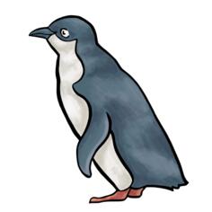 Penguin vector drawing