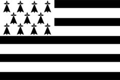 Brittany region flag vector drawing