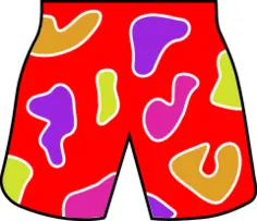 Colorful beach shorts vector image