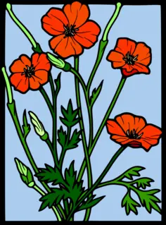 olor poppy frame vector drawing