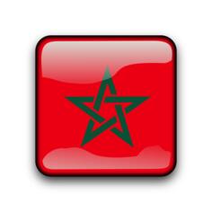 Morocco vector flag button