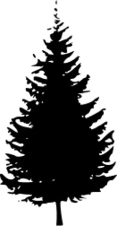 Silhouette of tree vector illustration