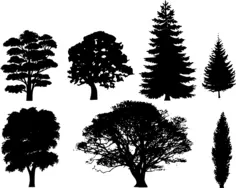 Silhouettes of trees vector drawing