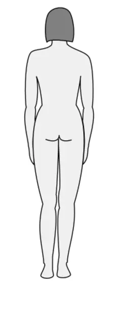 Female body silhouette vector