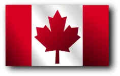 Canadian flag vector illustration