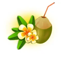 Coconut cocktail vector graphics