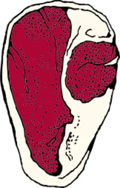 Vector illustration of barbecue ribs