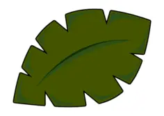 Vector image of leaf