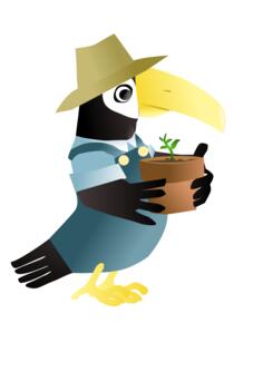 Vector image of parrot with hat