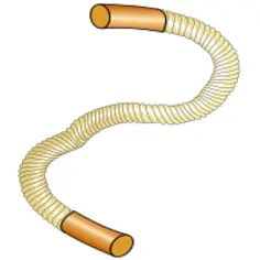 Thick sports rope vector image