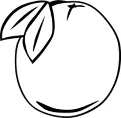 Orange vector graphics