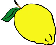 Lemon or lime vector image with leaf