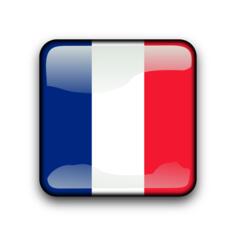 French Guiana flag button